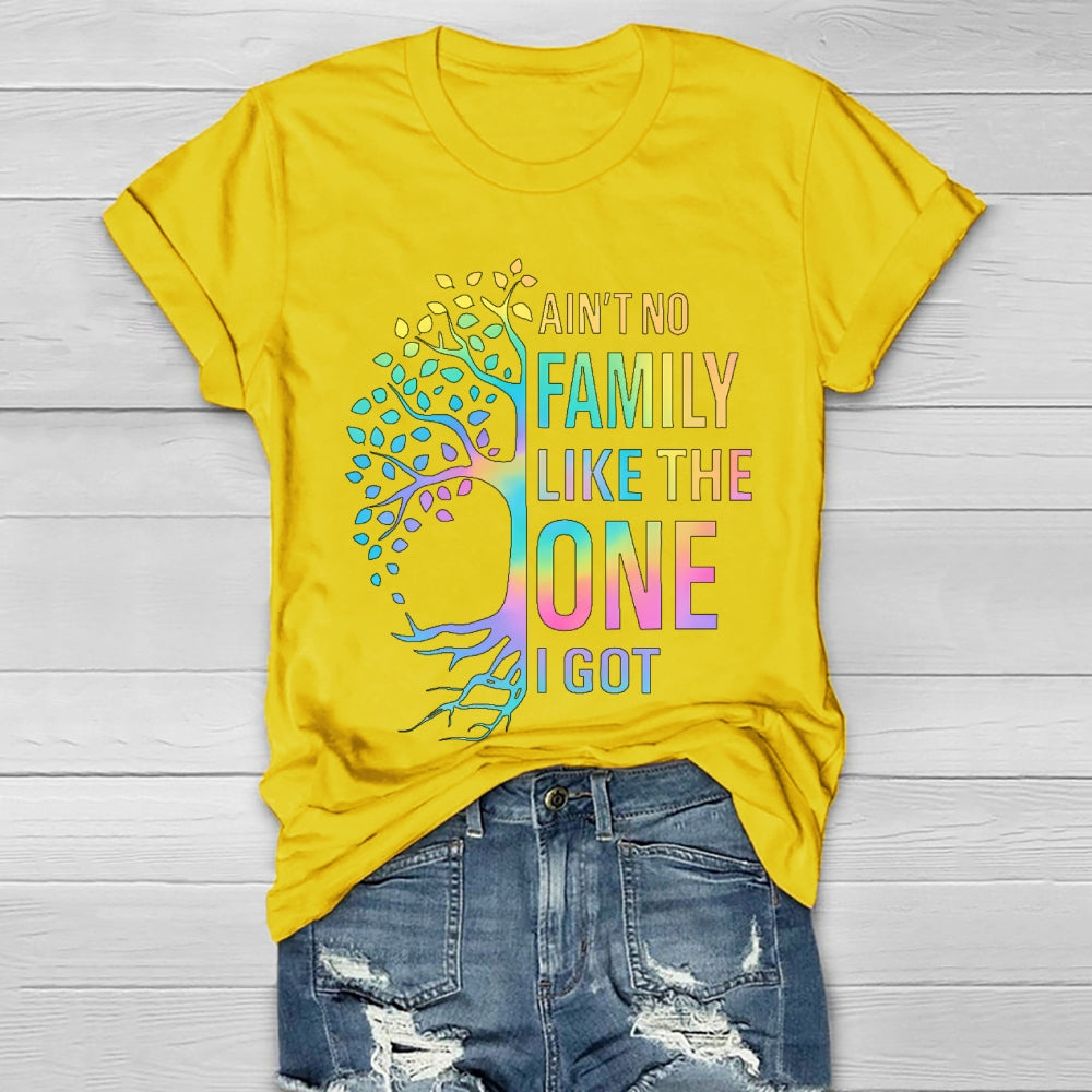Ain't No Family Like The One I Got Healthwear T-shirt