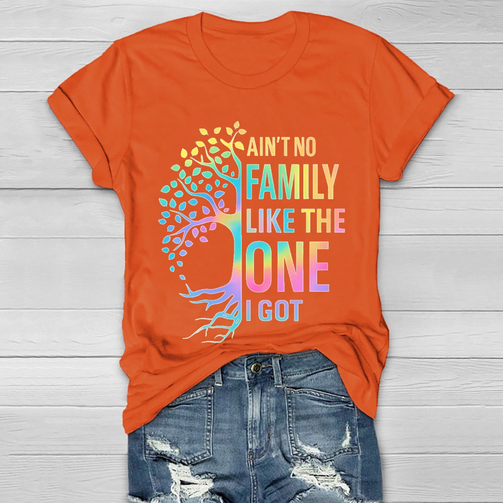 Ain't No Family Like The One I Got Healthwear T-shirt